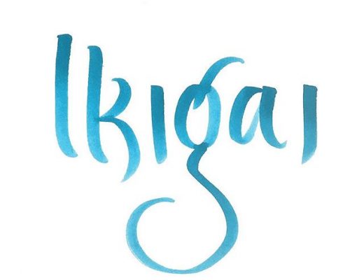 Ikigai, propósito de vida e felicidade