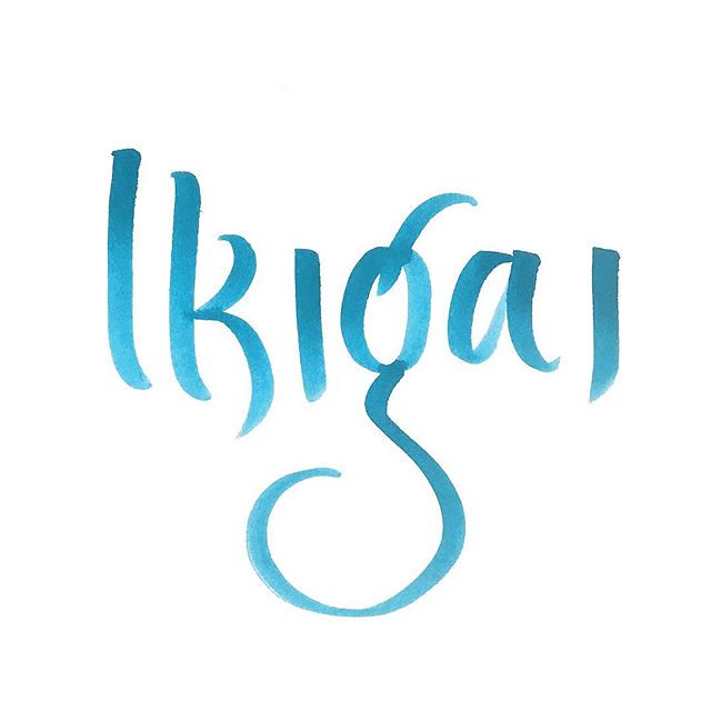 Ikigai, propósito de vida e felicidade