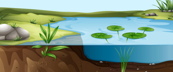 HORÓSCOPO E VIRGINIANOS - A imagem representa os princípios Quente e Úmido. O quente representado pelas margens verdes de um lago e o úmido pelo próprio lago.