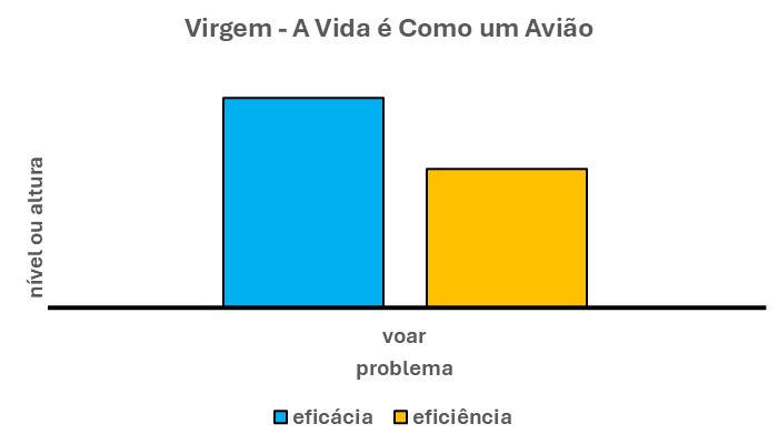 VIRGEM - A VIDA É COMO UM AVIÃO
Esse gráfico é composto por duas barras verticais. Uma à direita, na cor azul, que se refere à eficácia. Outra à direita, na cor laranja, que se refere à eficiência.
Em primeiro lugar, nota-se que essas duas barras não têm o mesmo nível.  Ou seja, não têm mesma altura. Isto é, a barra à esquerda é maior do que a barra à direita.
O que isso quer dizer?  
Quer dizer que sua propensão é ser mais eficaz do que deveria ser. Em outras palavras, se dedicar além do que deveria à meta a que se propôs.
Por outro lado, sua propensão é ser menos eficiente do que deveria ser. Ou seja, empregar recursos aquém do que deveria. Em outras palavras, é fazer bem menos. Todavia, também com muito menos recursos.
